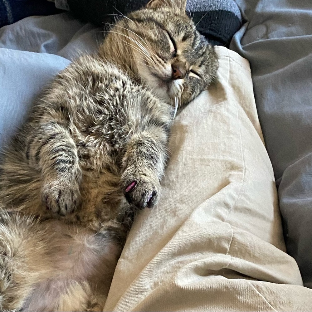 Meet your Posher, Tyler